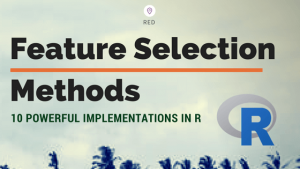 Feature Selection – Ten Effective Techniques with Examples