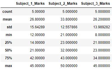 Pandas describe function