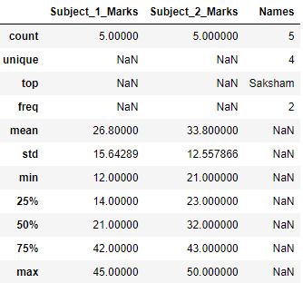 Exclude data types of pandas describe