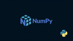 How to use Numpy Random Function in Python