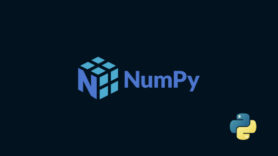 How to use Numpy Random Function in Python