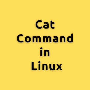 cat command in Linux – Mastering the ‘cat’ command in Linux